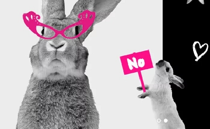 Natura quiere poner fin a las pruebas de cosméticos en animales – Tres  Mandamientos