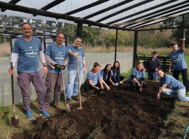 Día del Voluntario Fundación Telefónica Movistar