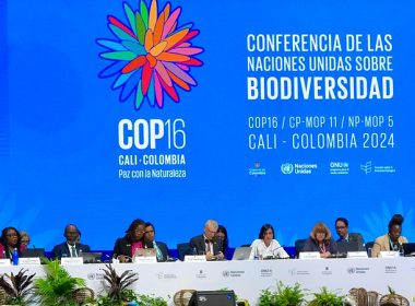 COP 16. UN Biodiversity