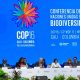 COP 16. UN Biodiversity