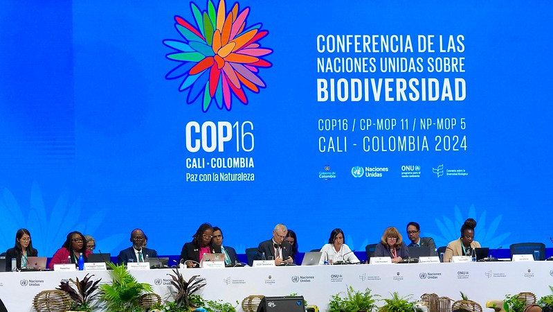 COP 16. UN Biodiversity